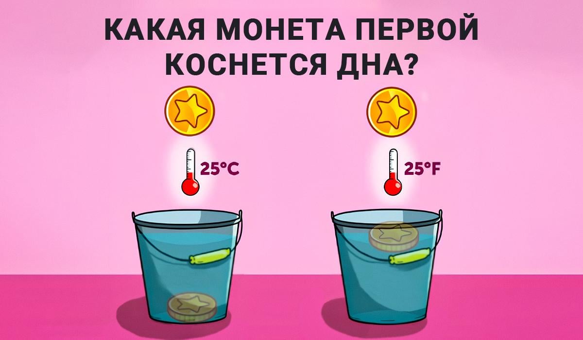 Odgovor na IQ-test / kolaž Moje