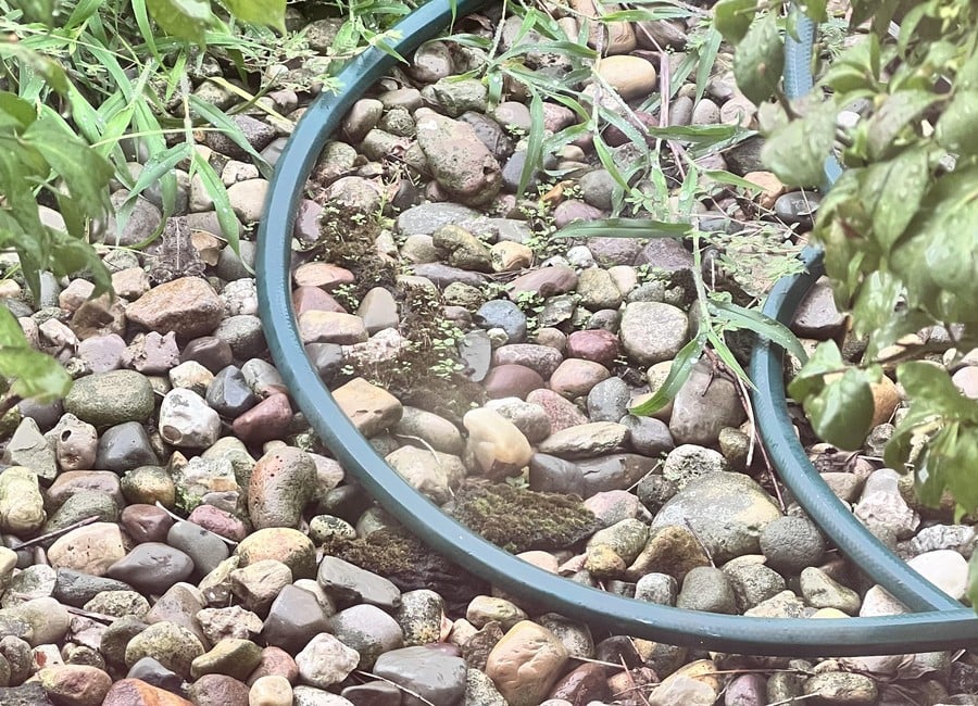 Optična iluzija: Poiščite skrito žabo