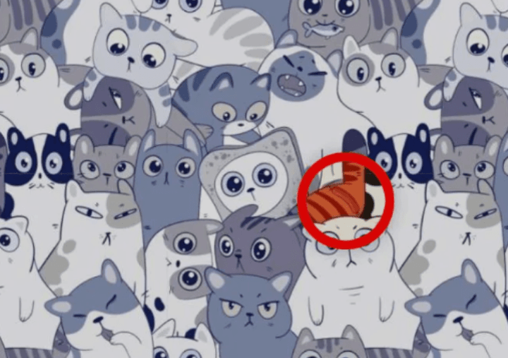 Fotografija Bright Side