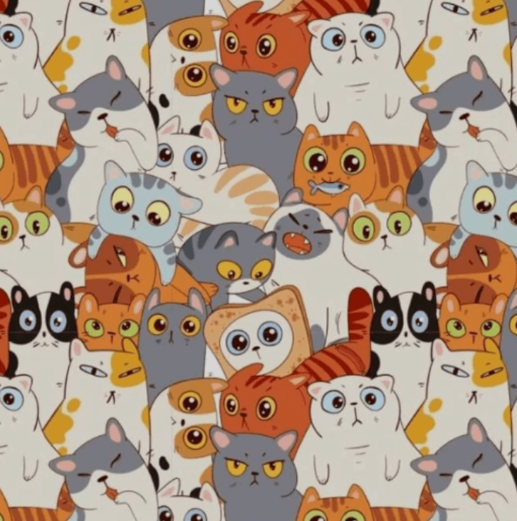 Fotografija Bright Side