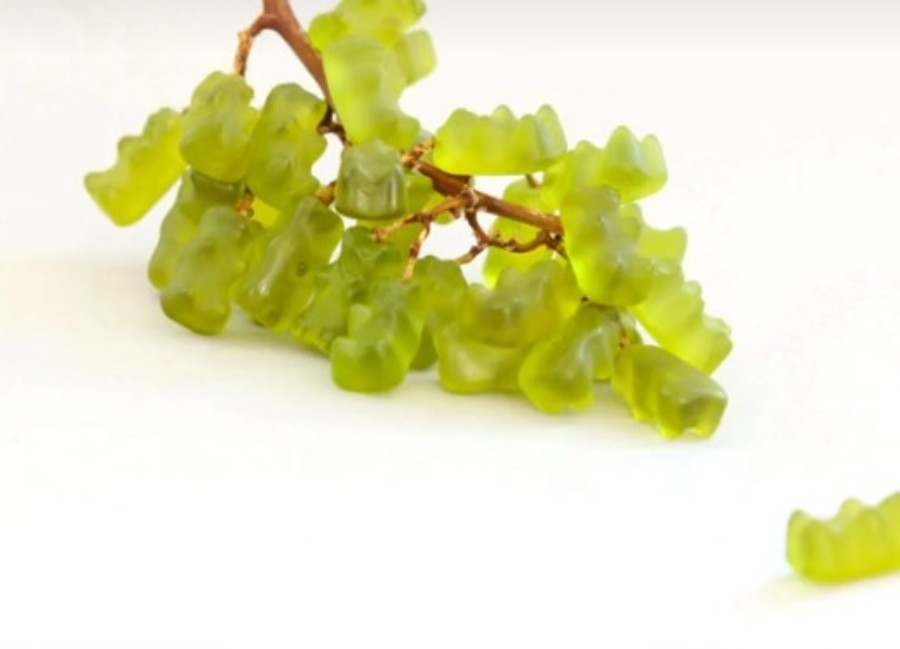 Kaj ste videli najprej?