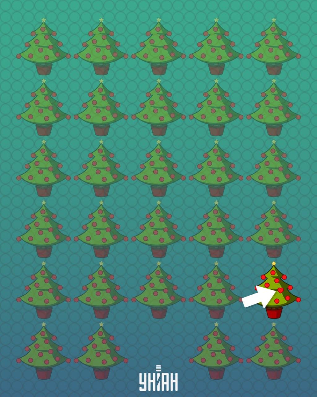 Odgovor / Fotografija Moje