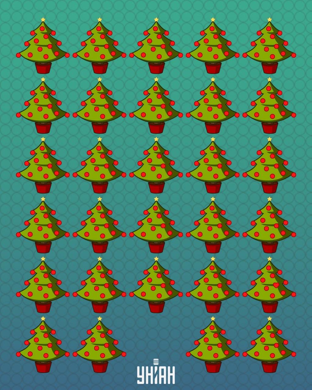 Poiščite srce v 11 sekundah / Fotografija Moje