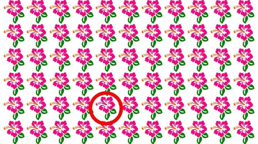 Odgovor na uganko / foto: Fresherslive