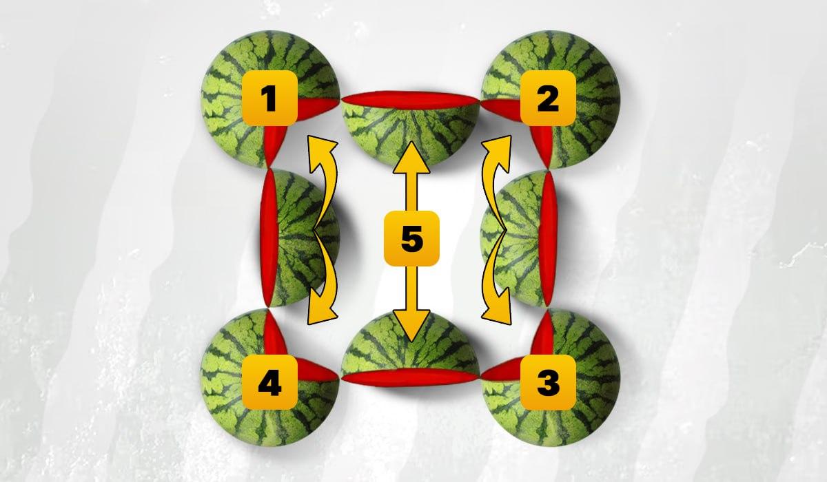 Na sliki je 5 lubenic / Ilustracija Moje