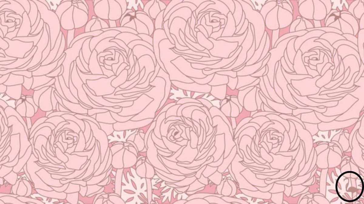 Nora uganka za genije: v 7 sekundah morate med rožami najti plamenca.