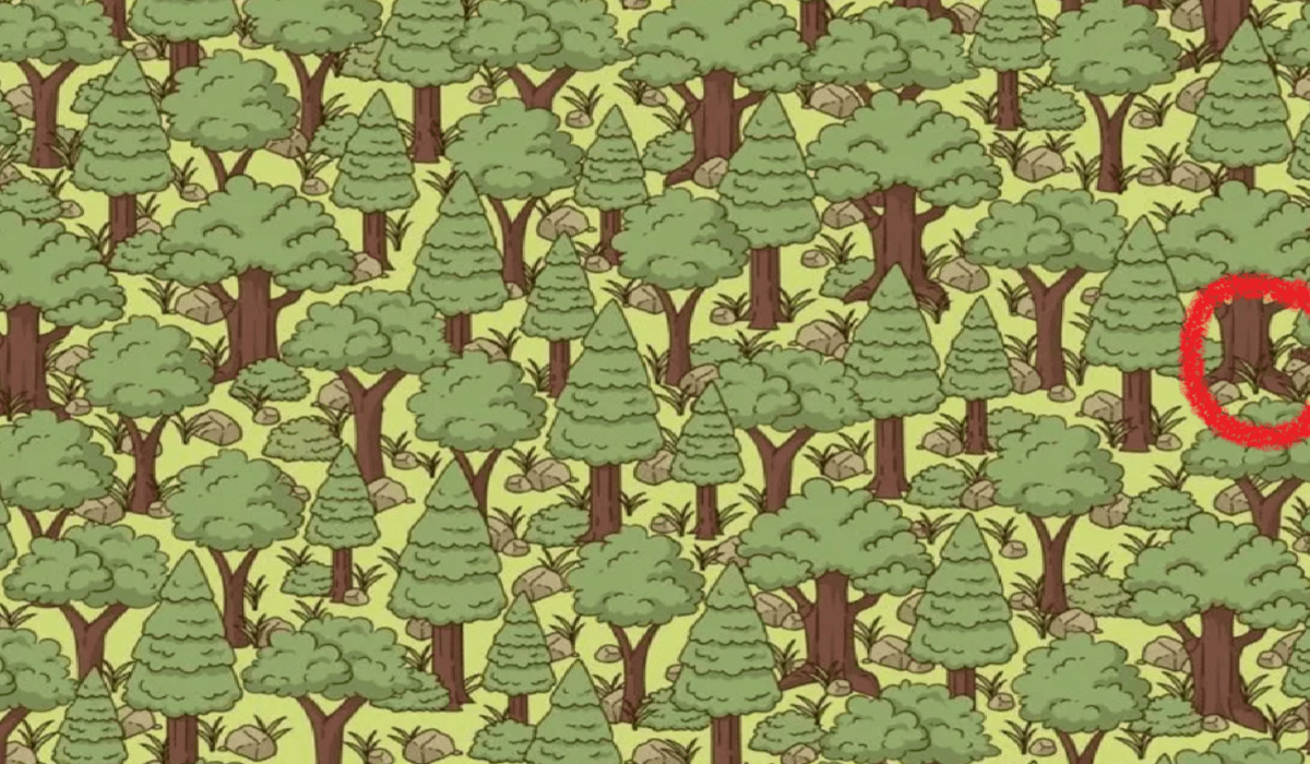 fotografija: Jagran Josh