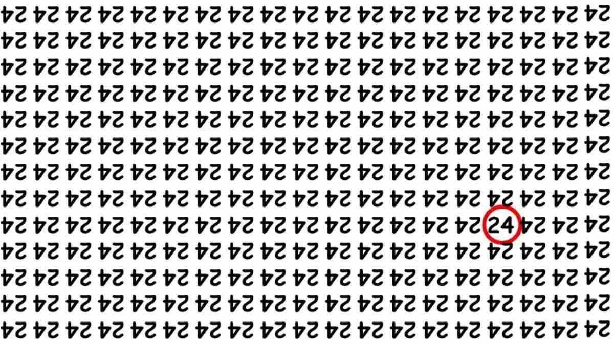 Zapletena uganka: samo ljudje z visokim inteligenčnim količnikom lahko najdejo število 24