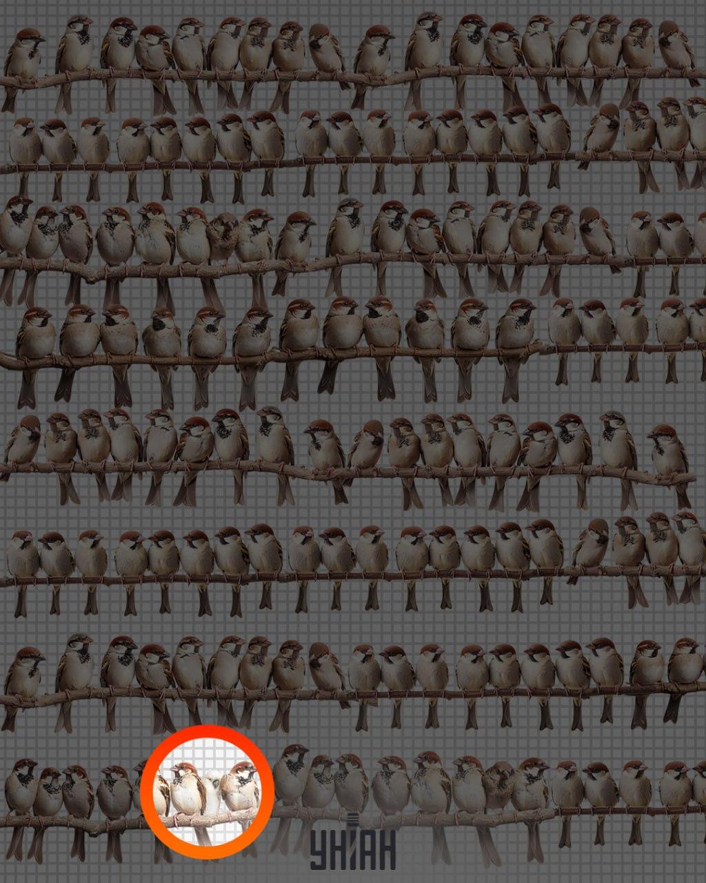 Odgovor / foto: Moje