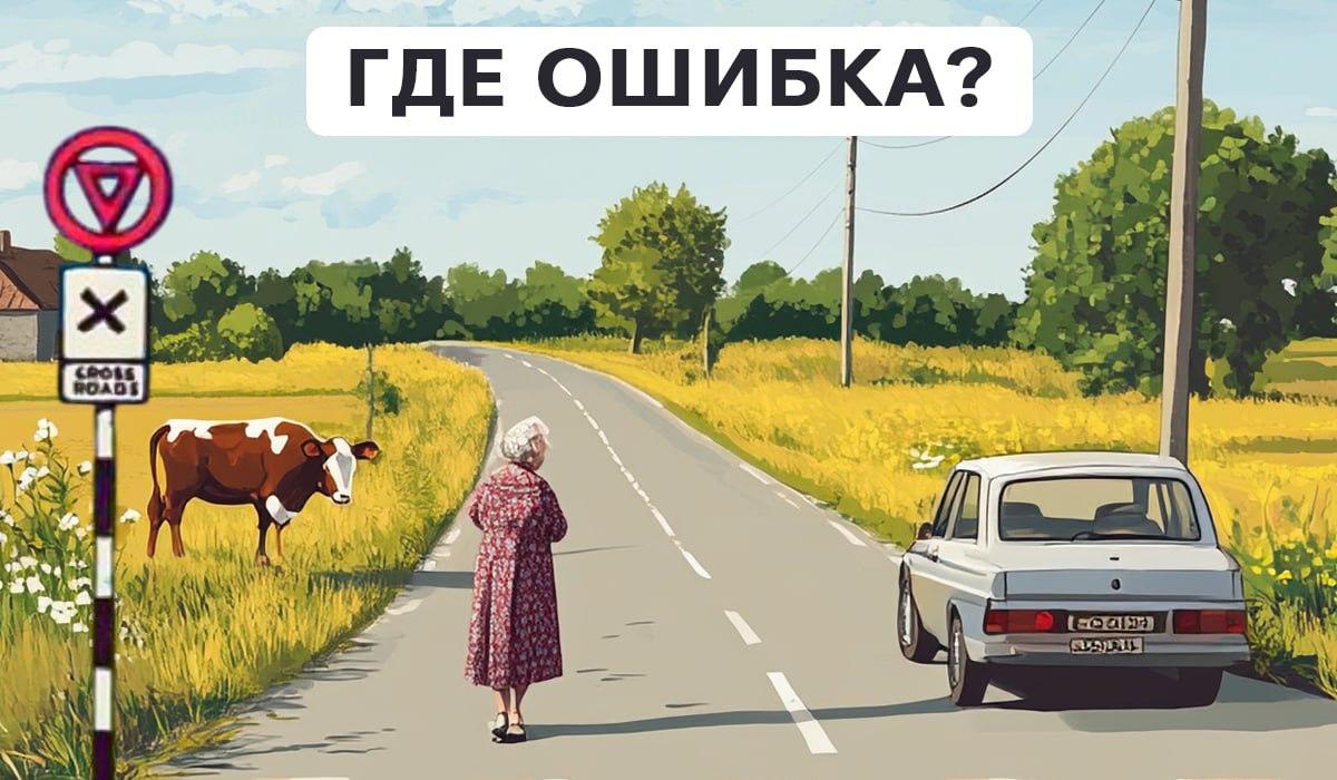 Test pozornosti / kolaž Moje