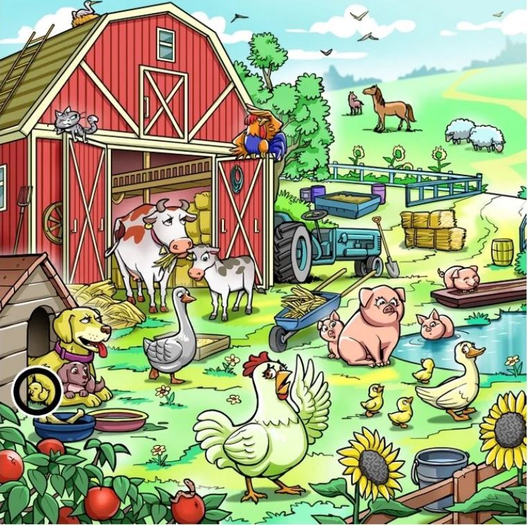 Test pozornosti - namig