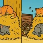 IQ test: v 29 sekundah poišči 3 razlike na slikah