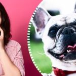 Izjemno zapletena optična iluzija: samo pravi detektiv lahko najde psa v 10 sekundah Izjemno zapletena optična iluzija: samo pravi detektiv lahko najde psa