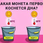 Kateri kovanec se bo najprej dotaknil dna: uganka, ki jo