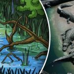 Kje se skriva krokodil: le najpametnejši bodo plenilca našli v