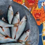 Morate najti ribe med mačkami: zabavna uganka za ljudi z orlovskim vidom Morate najti ribe med mačkami: zabavna uganka za ljudi z