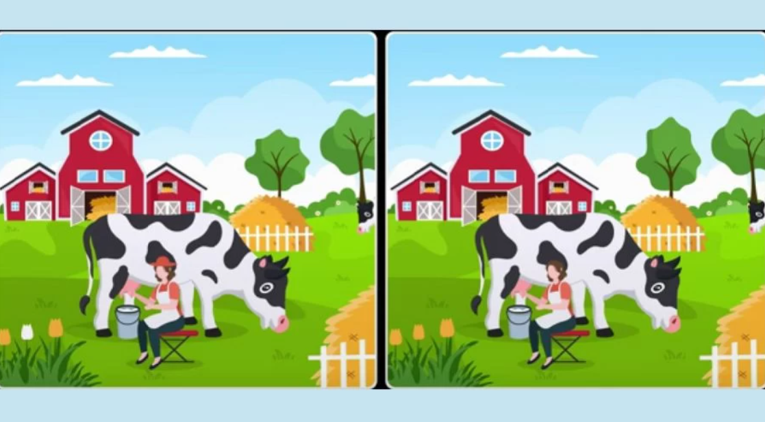 Fotografija Fresherslive