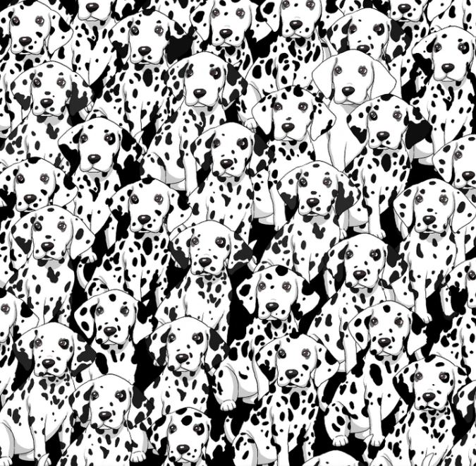 Poišči psa, ki nima lis med temi dalmatinci - ugankarska igra