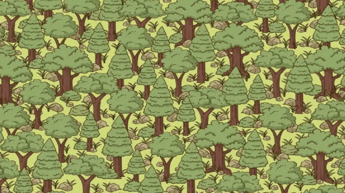 fotografija Jagran Josh