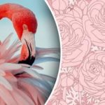 Nora uganka za genije: v 7 sekundah morate med rožami