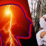 Samo 2 odstotka najbolj pozornih bo našlo zajca v 9