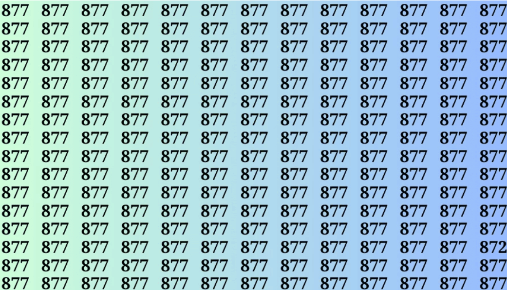 Poiščite številko 872 v 15 sekundah / foto: fresherslive.com