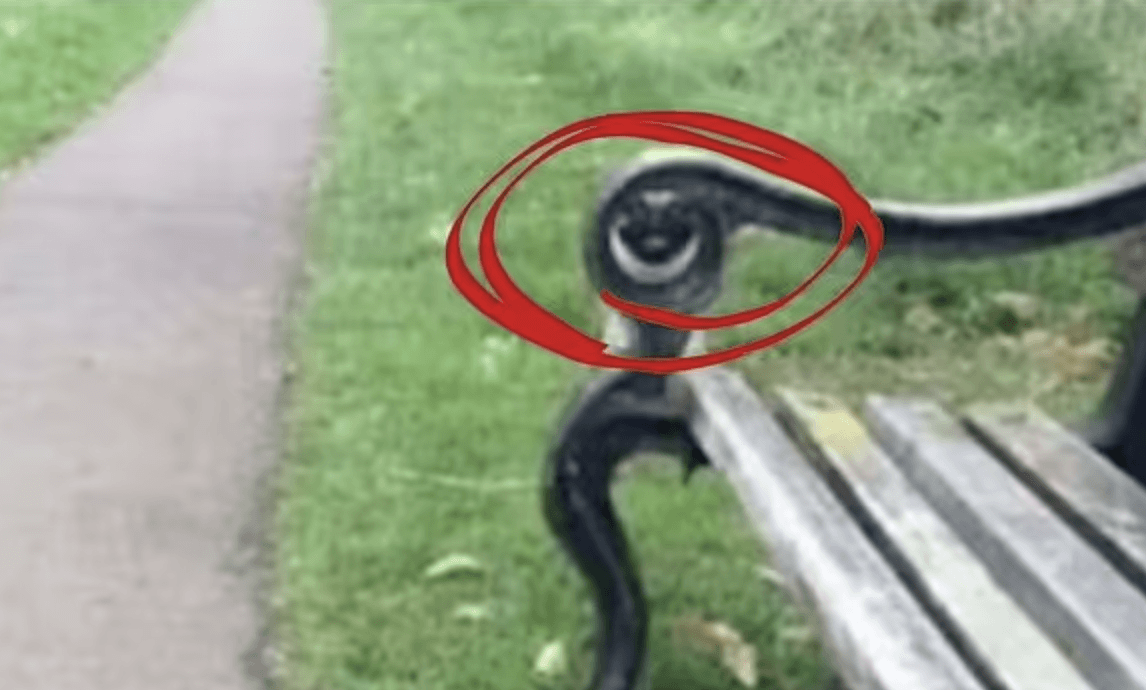 Tukaj je pes skrit / foto: TikTok/edaiibuggout1