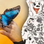 To zmorejo le redki: le geniji lahko v 6 sekundah najdejo metulja med psi. To zmorejo le redki: le geniji lahko v 6 sekundah