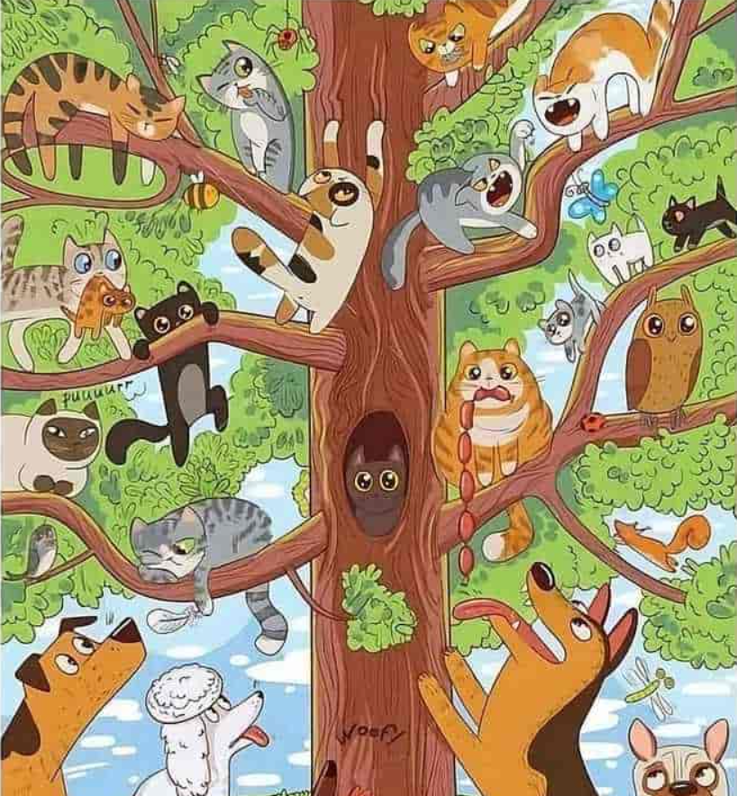 fotografija: Jagranjosh