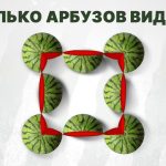 Uganka za najpametnejše: v rekordnem času morate prešteti lubenice