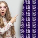 Uganka za prave detektive: v morju številk 357 morate najti