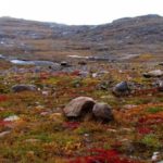 Uganka za tiste z odličnim vidom: v 15 sekundah morate