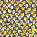 Uganka za tiste z odličnim vidom: v 5 sekundah morate