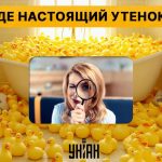 V petih sekundah med stotinami igrač poiščite pravo račko: zahtevna