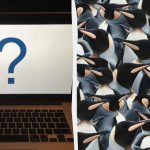 Vsi vidijo pingvine, vi pa morate v 9 sekundah najti