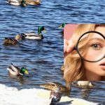 Zelo zapletena uganka za pametne ljudi: preizkusite se v 7